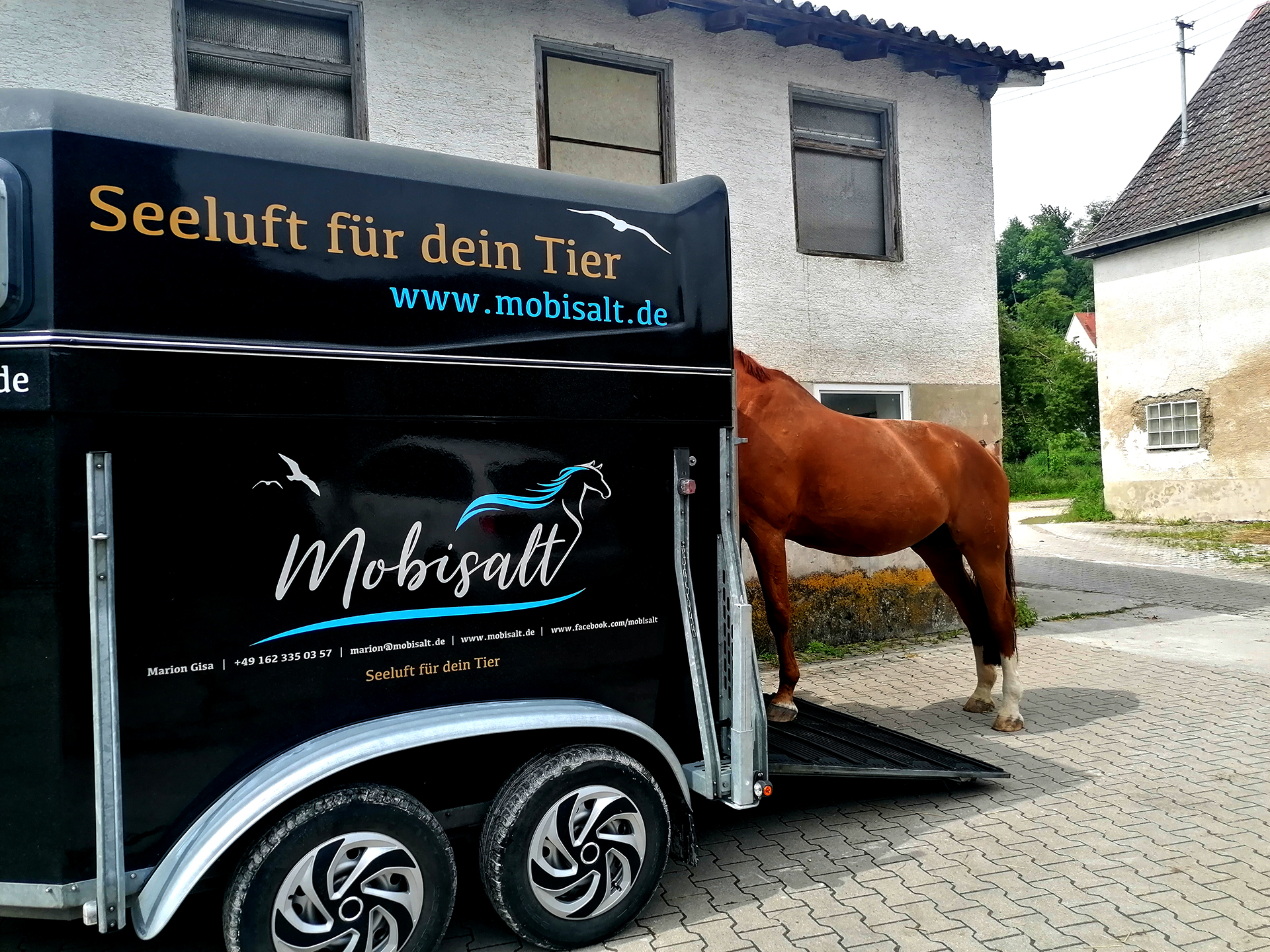 mobisalt-Pferdegesundheit